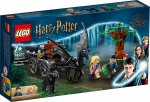 LEGO® Harry Potter 76400 Hogwarts Vagn och testraler