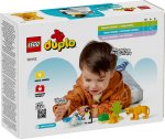 LEGO® DUPLO® 10442 Vilda djurfamiljer: Pingviner och lejon