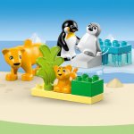 LEGO® DUPLO® 10442 Vilda djurfamiljer: Pingviner och lejon