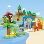 LEGO® DUPLO® 10446 3-i-1 Vilda djurfamiljer