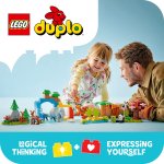 LEGO® DUPLO® 10446 3-i-1 Vilda djurfamiljer