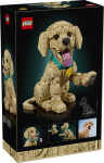 LEGO® Icons 11384 Golden retriever-valp