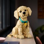 LEGO® Icons 11384 Golden retriever-valp