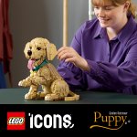 LEGO® Icons 11384 Golden retriever-valp