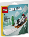 LEGO® Creator 30718 Cataclaws snöäventyr