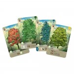 Forest Shuffle