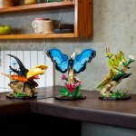 LEGO® IDEAS 21342 Insektssamlingen