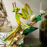 LEGO® IDEAS 21342 Insektssamlingen