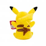 Pokémon Pikachu Plushie