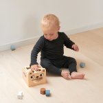 Sorting Box - Bear