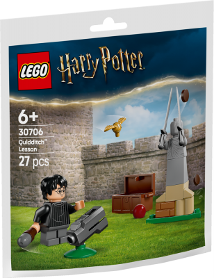 LEGO® Harry Potter 30706 Quidditchlektion