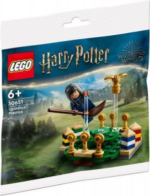 LEGO® Harry Potter 30651 Quidditch Practice