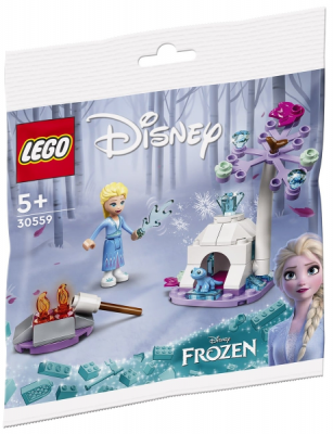 LEGO Disney 30559 Elsa and Brunis Forest Camp